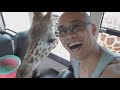 Feeding Giraffes at the Safari Park in Kanchanaburi