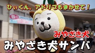 【みやざき犬】レア！アドリブありの「みやざき犬サンバ」