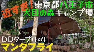 【ソロキャンプ】近すぎ！八王子ICから車で15分「犬目の森キャンプ場」でDDタープ（4×4） マンタフライ設営