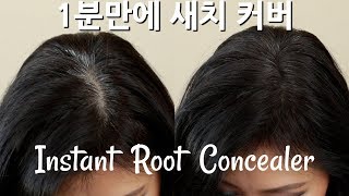 1분 새치 커버 - Instant Gray Hair Root Cover Concealer John Frieda