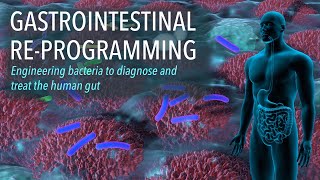 Gastrointestinal Re-Programming: Engineering bacteria to diagnose and treat the human gut