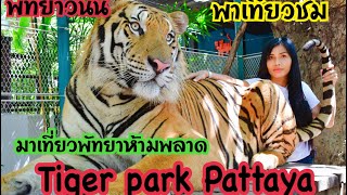 พัทยาวันนี้ พาเที่ยวชม Tiger park Pattaya ชม สัมผัส ถ่ายรูปกับเสือ บรรยากาศดีมากค่ะ