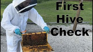 BEEKEEPING- Your First Inspection Home