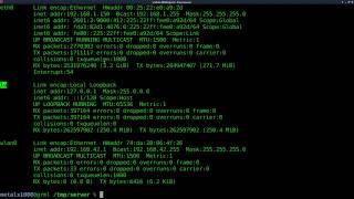 Setup a Webserver with Python Linux Tutorials clip19