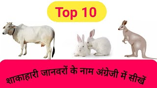 Vegetarian Animals name in Hindi- English. शाकाहारी जानवरों के नाम अंग्रेजी और हिंदी में