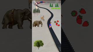 The Elephant and the horse are following the woman near the track and the train is approaching fast