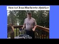 Fastest way to Cleaning Wild Blueberries: By The World's Fastest Wild Blueberry Picker