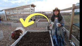 She GARDENS with TURKEYS and lives OFF GRID!