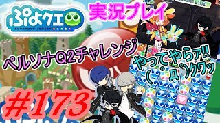 【アプリ実況】☆えりっち☆のぷよっとぷよクエ実況＃173【ペルソナQ2チャレンジ!!】