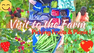 Fruit and Vegetable Picking Farms | PYO - Pick Your Own |  Picnic, Fun day Out! Lots of Berries!