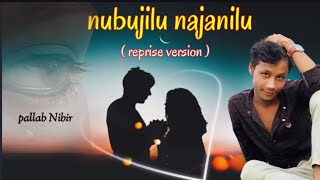 Nubujilu Najanilu || Nilakshi Neog Song || Cover By Pallab Nibir ||