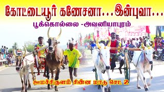 சின்ன மாடு -செட் 2  -மதுரை-ஊமச்சிக்குளம்  -மதுரை  மாவட்டம் -19-06-2022  - 42 வண்டிகள்