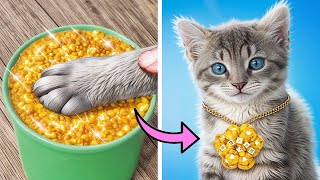 HEIMATLOSES KÄTZCHEN RETTEN! 🐾 Tipps zur Rettung und Pflege + VERRÜCKTE TRICKS für Haustierbesitzer!