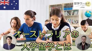 【オーストラリア大学留学】オーストラリアの大学に入るために準備すること教えちゃいます