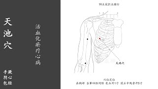 人体穴位216：天池：活血化瘀疗心病，合并食指、中指，两指按揉天池穴100～200次，每天坚持，能够缓解胸闷、气喘、咳嗽等 20220212.mp4