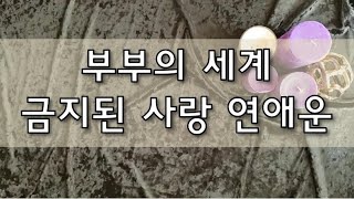 (타로) 부부의 세계 현실판, 불륜 관계 우리의 연애운 흐름 /특수상황 고민/ 연애타로 / 터놓지 못한 은밀한 나만의 사랑