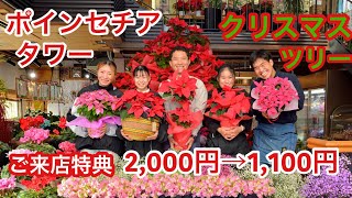 【12月限定】ポインセチアXmasタワー（ご来店特典あり、記念撮影OK）