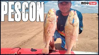 LAS GRANDES CAPTURAS SE DAN CON LOS PROFEJIGS - SUPER PESCA