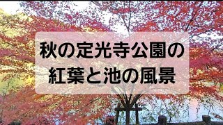 自然豊かな愛知県瀬戸市にある定光寺公園の紅葉と池の風景 BGM 散歩  リラックス リラクゼーション