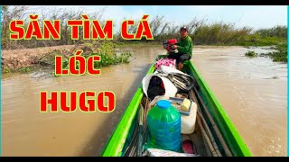 TẬP.52.trở lại vùng đất bỏ hoang săn tìm cá lóc hugo/ GIÓ LÀNG QUÊ