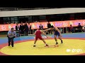 mongolian wrestling championships 2016