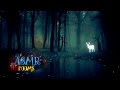 Harry Potter Inspired Ambience ✦ Forbidden Forest at night ✦  1 hour relaxing Animation & Soundscape