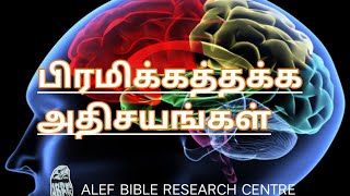 பிரமிக்கத்தக்க அதிசயங்கள்- ( BRAIN PART 2)