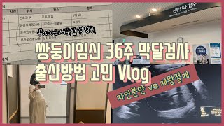 [라둥이임신36주] 쌍둥이임신 막달검사 후기 | 제왕절개 VS 자연분만 | 쌍둥이임신36주초음파 | 서울삼성병원 산부인과