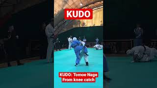 #KUDO Throw from knee catch @kudouk @ukkudofed #judo