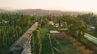 United for the Chinampas (EN)