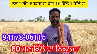 94178 ,06115 ਬਾਈ ਕੋਲ ਕਣਕ ਦਾ ਬੀਜ ਵਿਕਾਊ ਹੈ ਜੀ ਪਿੰਡ ਬਖ਼ਤਗੜ੍ਹ ਜਿਲਾ ਬਰਨਾਲਾ #🙏💯👌😱👌💯🙏🙏🙏🙏