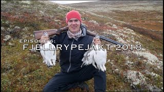 Fjellrypejakt 2018 Episode 6 / Ripjakt 2018 /Ptarmigan hunting 2018