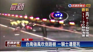 「白鹿」狠掃！台南強風吹倒路樹 一騎士遭壓死－民視新聞