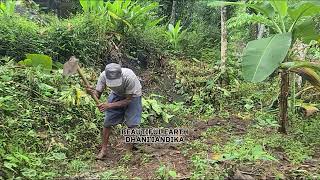 Grandfather's Determined Journey: Cultivating the Land with Unyielding Spirit