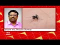 dengue কেন এখন এমন ডেঙ্গির বাড়বাড়ন্ত কমবে কবে কী বলছেন চিকিৎসকরা