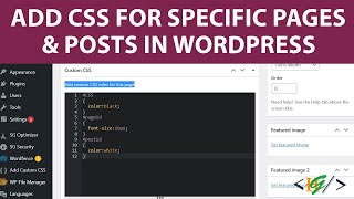 How to Add CSS for Specific Pages and Posts in WordPress using Plugin
