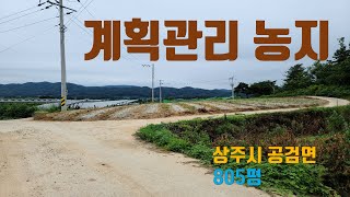 (매물번호 6402)경상북도 상주시 공검면  양정리 농지,  계획관리지역, 산자락 아래에 위치한 농지, 마을 끝자락에 위치한 농지, 바로 옆 태양광시설 되어있음,  진입로는 충분함