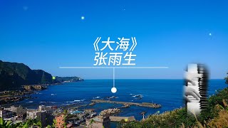 《大海》张雨生 ┃ 钢琴曲【XJN Piano】