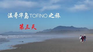 温哥华岛Tofino之旅 | 第三天