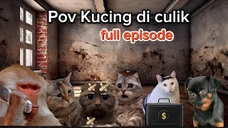 Pov kucing diculik full episode| meme kucing lucu