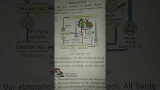 Nitrogen cycle/Short