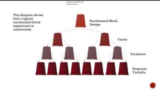 Randomized Block Experiments Final Video- STA3032