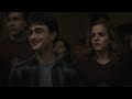 ron and hermione surrender