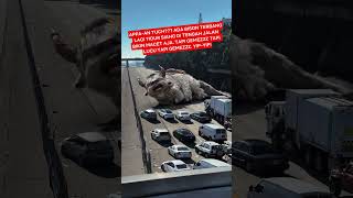 HEBOH! Penampakan Bison Terbang di Jalan Tol | Avatar: The Last Airbender | #Shorts