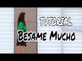 Besame Mucho Line dance |TUTORIAL |스텝설명 라인댄스