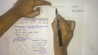 Intermediate Code Generation-Compiler design-KTU