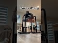 dip bars only for dips homeworkout calisthenics fitnessmotivation