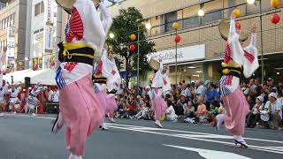 【南越谷阿波踊り2018】（1）Awaodori 【阿呆連】南越谷中央通り　 (H30.8.26)　＃阿波踊り＃南越谷阿波踊り＃阿呆連