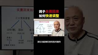 鴿子關賽回來如何快速調整