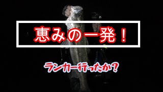 【シーバス】恵みの一発！ランカー行ったか？